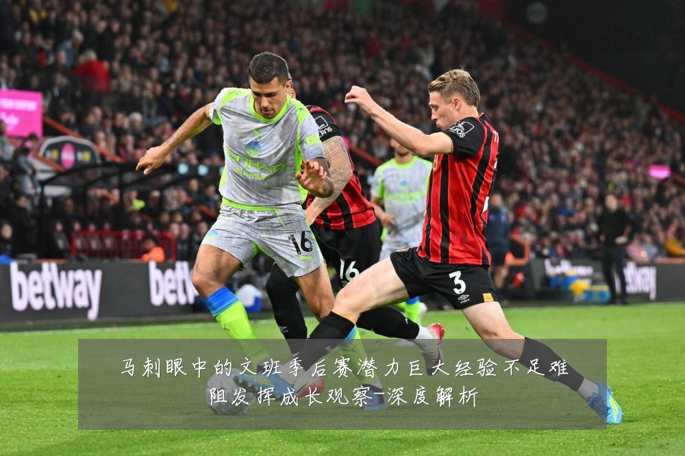 马刺眼中的文班季后赛潜力巨大经验不足难阻发挥成长观察-深度解析